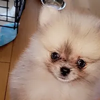 processed/81ea60fd-fd88-4c7a-9ec3-fbd8f6383bd3/facility/a6e37039-3784-482c-abc7-0a9224b3799f