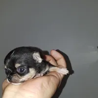 processed/81ea60fd-fd88-4c7a-9ec3-fbd8f6383bd3/facility/c44a8d86-43bf-4633-bbae-2557730282e1