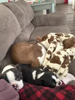 processed/81ef6540-95cf-4f36-9d07-68c007e0f3c2/listing/64be103b-3872-4189-8029-39a701158119/1dce2dab-0b5c-453f-8009-29fb5c9285cd