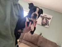 processed/81ef6540-95cf-4f36-9d07-68c007e0f3c2/listing/64be103b-3872-4189-8029-39a701158119/2a6b9fd6-b4a0-4556-b4a8-afc96d6bd7b6