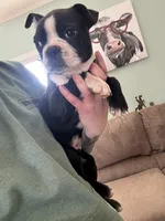 processed/81ef6540-95cf-4f36-9d07-68c007e0f3c2/listing/64be103b-3872-4189-8029-39a701158119/5ca52a68-9031-4ecf-8e87-e724da641b45