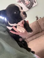 processed/81ef6540-95cf-4f36-9d07-68c007e0f3c2/listing/64be103b-3872-4189-8029-39a701158119/9108897e-2322-42f7-a61d-cca4242dd5f6