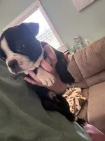 processed/81ef6540-95cf-4f36-9d07-68c007e0f3c2/listing/64be103b-3872-4189-8029-39a701158119/abb96d84-4bd1-4ed3-b0fe-a383a1adac0b