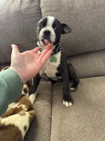 processed/81ef6540-95cf-4f36-9d07-68c007e0f3c2/listing/64be103b-3872-4189-8029-39a701158119/b14bd43f-2a92-41a2-b019-b193c0e108e2