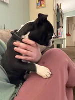 processed/81ef6540-95cf-4f36-9d07-68c007e0f3c2/listing/64be103b-3872-4189-8029-39a701158119/fa3e128d-387a-45d1-b483-bd9554b69d0f