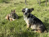 processed/82073ee6-2417-472a-97fa-9b6d35714444/facility/223f6ef3-4916-4de8-b8b3-98ef6f6bf6d5