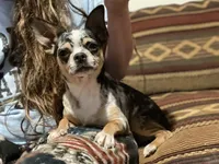 processed/82073ee6-2417-472a-97fa-9b6d35714444/facility/3c0c256f-2497-4674-9441-df29ce8256e1