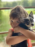 processed/82073ee6-2417-472a-97fa-9b6d35714444/facility/6656f975-8e09-431e-be1c-84745fd710fa