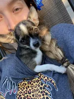 processed/82073ee6-2417-472a-97fa-9b6d35714444/facility/aef93c8d-a3e2-49fd-b500-41b4ae8ee74a