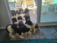 processed/82119d87-c018-4e52-8e7c-fd47df9be1b3/facility/0fe91471-2983-4f6e-bfca-bc06e402c6d4