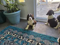 processed/82119d87-c018-4e52-8e7c-fd47df9be1b3/facility/fe014035-4c06-4fc9-9439-7c2aba8d3071