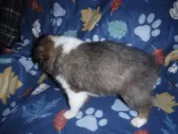 processed/8218d436-66a9-46d6-84a1-0658cf674a8e/listing/128b20b9-d160-4f92-9f03-512a513ada1d/3915a697-841f-427b-896e-403ce3eeeade