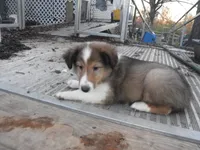 processed/8218d436-66a9-46d6-84a1-0658cf674a8e/listing/128b20b9-d160-4f92-9f03-512a513ada1d/916acd68-0f5d-4789-b4e4-41cd0eef9fcf