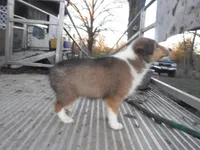 processed/8218d436-66a9-46d6-84a1-0658cf674a8e/listing/128b20b9-d160-4f92-9f03-512a513ada1d/924093dd-a814-4dab-a91a-bb897ab1aa3f