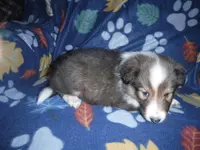 processed/8218d436-66a9-46d6-84a1-0658cf674a8e/listing/128b20b9-d160-4f92-9f03-512a513ada1d/dcc0913b-91a8-43e4-b260-fc9ff89eebe9