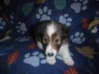 processed/8218d436-66a9-46d6-84a1-0658cf674a8e/listing/128b20b9-d160-4f92-9f03-512a513ada1d/dff26ba3-03c6-4ea1-a322-81eef8245653