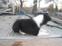 processed/8218d436-66a9-46d6-84a1-0658cf674a8e/listing/711f357b-1190-4c7a-bafb-1b15d3a3567c/0fc010a0-202e-440e-a015-5bd417d8d128