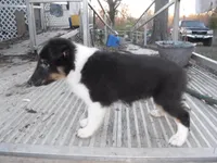 processed/8218d436-66a9-46d6-84a1-0658cf674a8e/listing/711f357b-1190-4c7a-bafb-1b15d3a3567c/44ab8a08-ba84-49d0-8b15-b101a5495c11