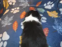 processed/8218d436-66a9-46d6-84a1-0658cf674a8e/listing/711f357b-1190-4c7a-bafb-1b15d3a3567c/4a0f93d2-1846-4447-8fab-76cf7bfed724