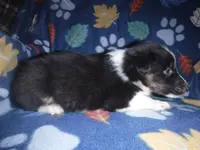 processed/8218d436-66a9-46d6-84a1-0658cf674a8e/listing/711f357b-1190-4c7a-bafb-1b15d3a3567c/5ce4fd82-9731-496a-ac56-638ded95f977