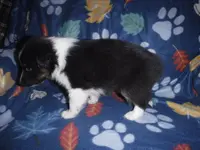 processed/8218d436-66a9-46d6-84a1-0658cf674a8e/listing/711f357b-1190-4c7a-bafb-1b15d3a3567c/7594f5be-cbfc-49dd-ac98-400ae097f078