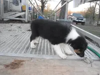 processed/8218d436-66a9-46d6-84a1-0658cf674a8e/listing/711f357b-1190-4c7a-bafb-1b15d3a3567c/b656ec67-7d0a-4f2a-8467-c9a71211d1ab