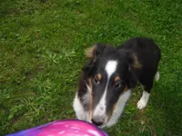 processed/8218d436-66a9-46d6-84a1-0658cf674a8e/listing/7fd322f0-53df-4fe3-8bf6-84e2d08194e2/0d876bdd-ae10-4a7e-8da2-922a87b65e29