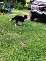 processed/8218d436-66a9-46d6-84a1-0658cf674a8e/listing/7fd322f0-53df-4fe3-8bf6-84e2d08194e2/10978eef-a492-4f07-8079-a9bcfa1da97a