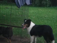 processed/8218d436-66a9-46d6-84a1-0658cf674a8e/listing/7fd322f0-53df-4fe3-8bf6-84e2d08194e2/21729cd4-2812-4d67-84b0-e4ff9974ad04