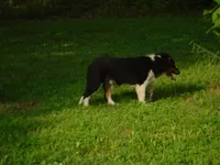 processed/8218d436-66a9-46d6-84a1-0658cf674a8e/listing/7fd322f0-53df-4fe3-8bf6-84e2d08194e2/42009fc3-3632-4b86-ad25-bbcc6dfc6108