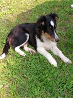 processed/8218d436-66a9-46d6-84a1-0658cf674a8e/listing/7fd322f0-53df-4fe3-8bf6-84e2d08194e2/4fe2ff2e-fef4-4612-80de-6e11d2694ad0