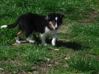 processed/8218d436-66a9-46d6-84a1-0658cf674a8e/listing/7fd322f0-53df-4fe3-8bf6-84e2d08194e2/939e2ab9-c9ad-4239-8f12-98e3ecb81b15