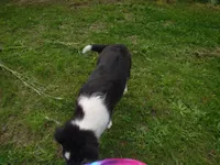 processed/8218d436-66a9-46d6-84a1-0658cf674a8e/listing/7fd322f0-53df-4fe3-8bf6-84e2d08194e2/99535499-1a48-4518-8e77-7bca1b6ea739