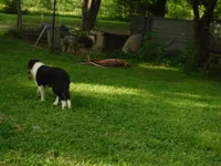 processed/8218d436-66a9-46d6-84a1-0658cf674a8e/listing/7fd322f0-53df-4fe3-8bf6-84e2d08194e2/e2dbbc23-7793-4d72-880a-21f0e1ec2af4