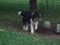 processed/8218d436-66a9-46d6-84a1-0658cf674a8e/listing/7fd322f0-53df-4fe3-8bf6-84e2d08194e2/e622808e-1d2f-42cb-84b3-649192740cd3