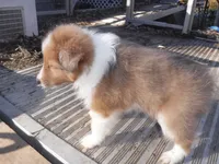 processed/8218d436-66a9-46d6-84a1-0658cf674a8e/listing/dda6460b-2523-43bd-bc5b-77e2b172026d/2510dc48-5433-4a73-8e7c-9f8124d29b7c