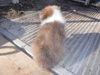 processed/8218d436-66a9-46d6-84a1-0658cf674a8e/listing/dda6460b-2523-43bd-bc5b-77e2b172026d/27d226b0-8c35-4764-8f02-8c31d6024d98