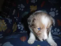 processed/8218d436-66a9-46d6-84a1-0658cf674a8e/listing/dda6460b-2523-43bd-bc5b-77e2b172026d/3611e952-4af8-47c9-bc53-092d2fc65008