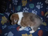 processed/8218d436-66a9-46d6-84a1-0658cf674a8e/listing/dda6460b-2523-43bd-bc5b-77e2b172026d/75a550dc-5276-47a6-8f15-c6f6731c5b1a