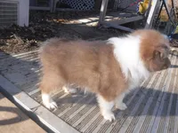 processed/8218d436-66a9-46d6-84a1-0658cf674a8e/listing/dda6460b-2523-43bd-bc5b-77e2b172026d/f467fce2-edb4-4eac-881b-1341a723fa0b