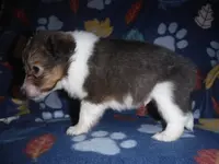 processed/8218d436-66a9-46d6-84a1-0658cf674a8e/listing/ef6838ac-4fa0-4833-b90d-40a193aeba9f/2e163eb2-701b-4199-9d8f-1f0fd34fe1c2