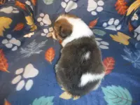 processed/8218d436-66a9-46d6-84a1-0658cf674a8e/listing/ef6838ac-4fa0-4833-b90d-40a193aeba9f/89911a81-77de-4a7e-843c-140e29fdae62