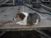 processed/8218d436-66a9-46d6-84a1-0658cf674a8e/listing/ef6838ac-4fa0-4833-b90d-40a193aeba9f/9fabee27-2855-4f03-9c7a-f97a6b3e2635