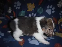 processed/8218d436-66a9-46d6-84a1-0658cf674a8e/listing/ef6838ac-4fa0-4833-b90d-40a193aeba9f/c364ccaa-865a-4041-8949-98f56a2f3518