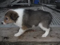 processed/8218d436-66a9-46d6-84a1-0658cf674a8e/listing/ef6838ac-4fa0-4833-b90d-40a193aeba9f/c6ec960d-11a0-4cc1-ad82-1e8e3071ccfc