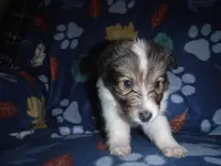 processed/8218d436-66a9-46d6-84a1-0658cf674a8e/listing/ef6838ac-4fa0-4833-b90d-40a193aeba9f/e0e31eec-1837-4270-9529-dc083f50ec4c