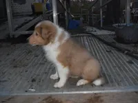 processed/8218d436-66a9-46d6-84a1-0658cf674a8e/listing/f768c71c-29b3-4807-a6a7-16518b06e6a8/5626b56b-3bb6-41b7-87ab-35e897853945