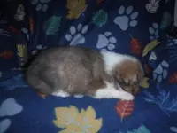 processed/8218d436-66a9-46d6-84a1-0658cf674a8e/listing/f768c71c-29b3-4807-a6a7-16518b06e6a8/5e48d0f3-6e16-4a8e-b5c8-99801726046c