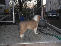 processed/8218d436-66a9-46d6-84a1-0658cf674a8e/listing/f768c71c-29b3-4807-a6a7-16518b06e6a8/6e3c73a1-ede5-45d2-8b18-cf5674166d4f