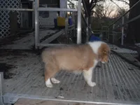 processed/8218d436-66a9-46d6-84a1-0658cf674a8e/listing/f768c71c-29b3-4807-a6a7-16518b06e6a8/b04ad0d3-4551-407c-b689-139759dac32c